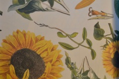 carta regalo e rivestimenti fiori  in carta cartoleria firenze girasoli