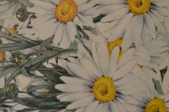 carta regalo e rivestimenti fiori  in carta cartoleria firenze margherita